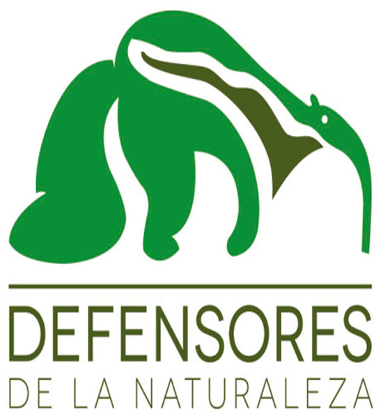 Logo DFN