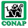 logo conap 2